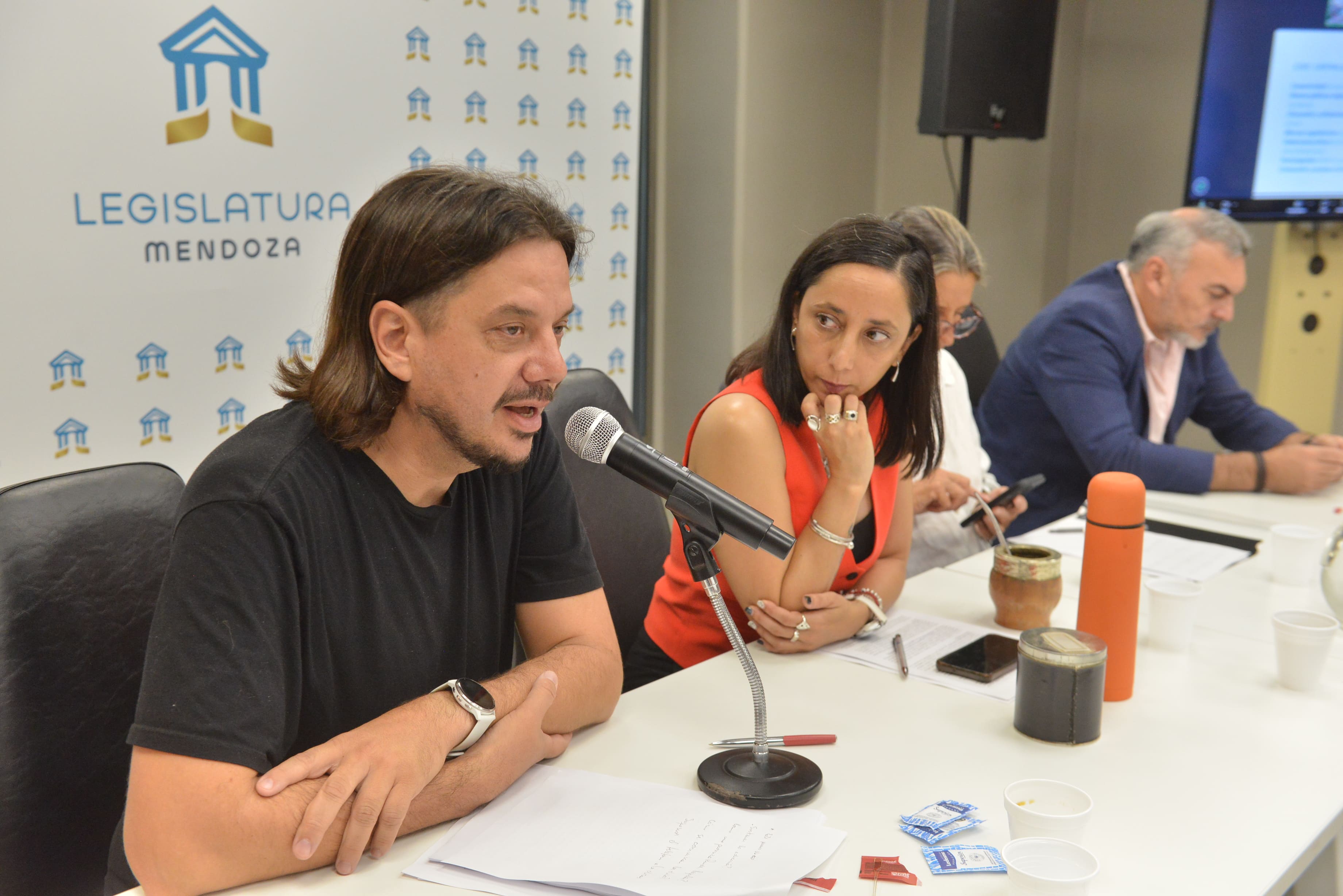 La Legislatura debate sobre cómo proteger a niños y adolescentes en entornos digitales