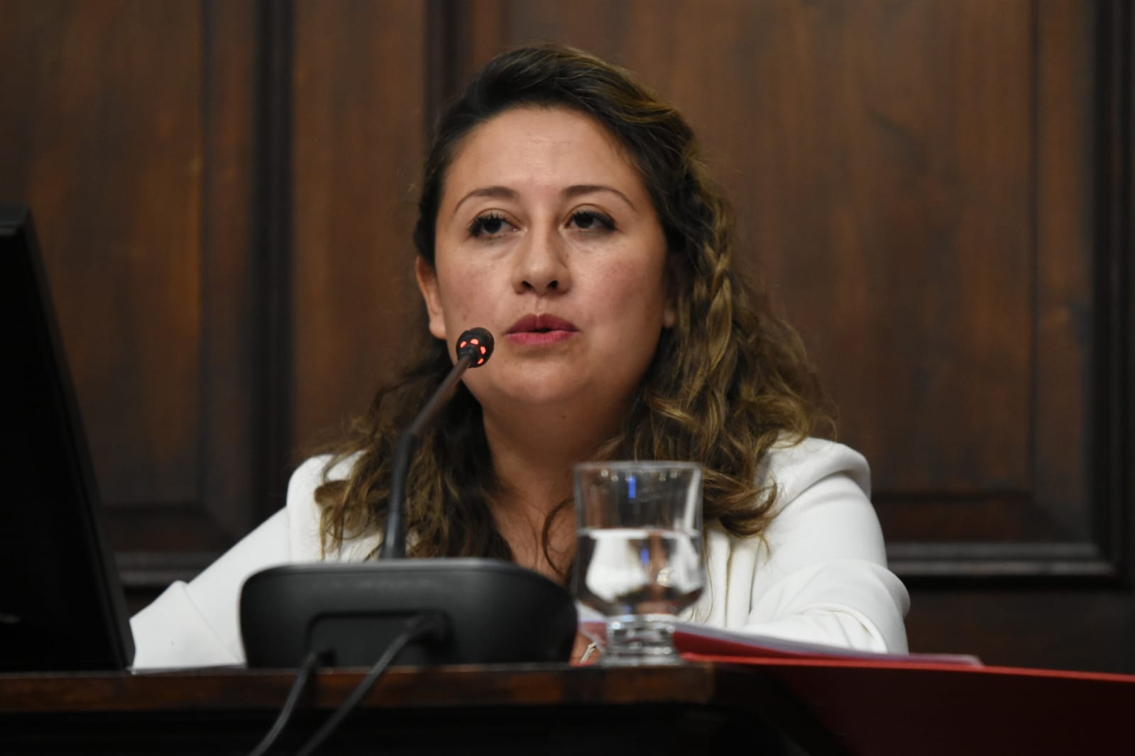 raza criolla caprina del sur de Mendoza