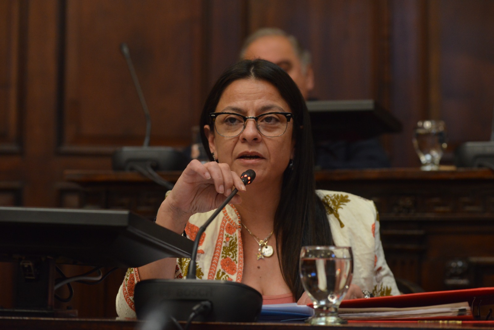 Ley de Presupuesto 2024